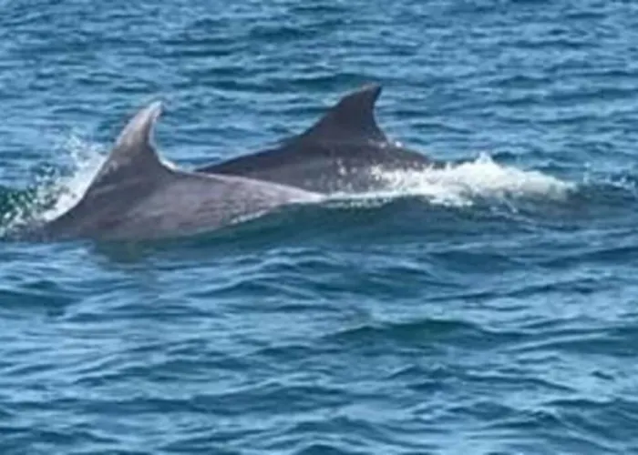 Apartamento Rez-de- Chaussee Sur Le Port Wi-fi 4g Dives-sur-Mer